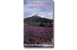 Guía de montes de Navarra-Nafarroako Mendi Gidaliburua