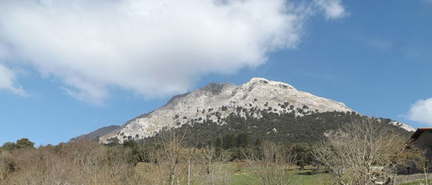 Udalaitz