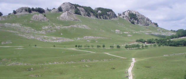 Urbia